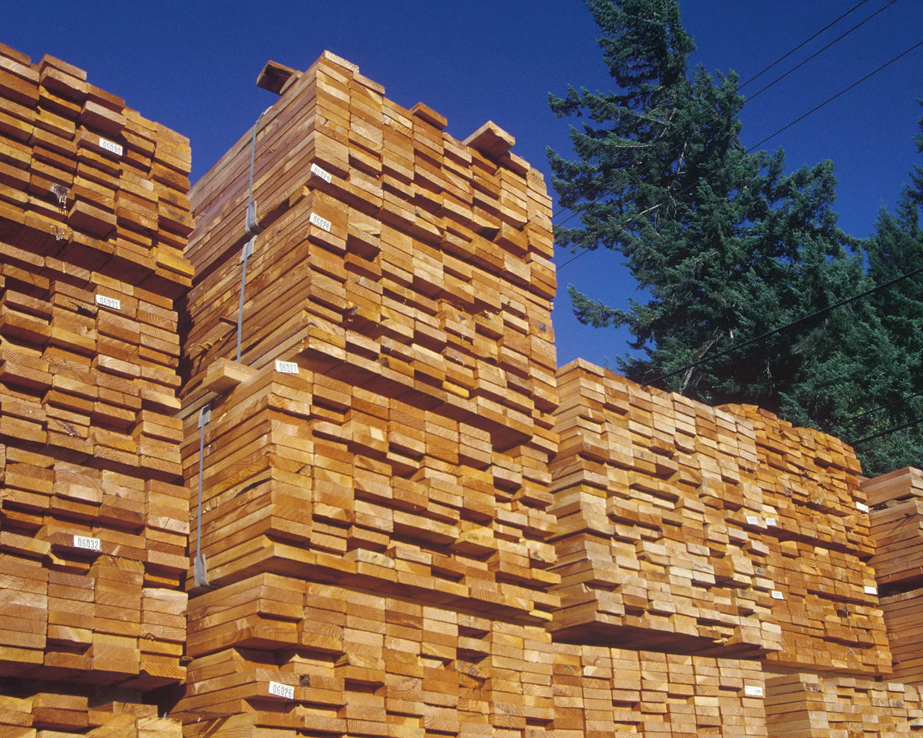 The Nationwide Impact Of California Wildfires On Construction Costs And Supply Chains