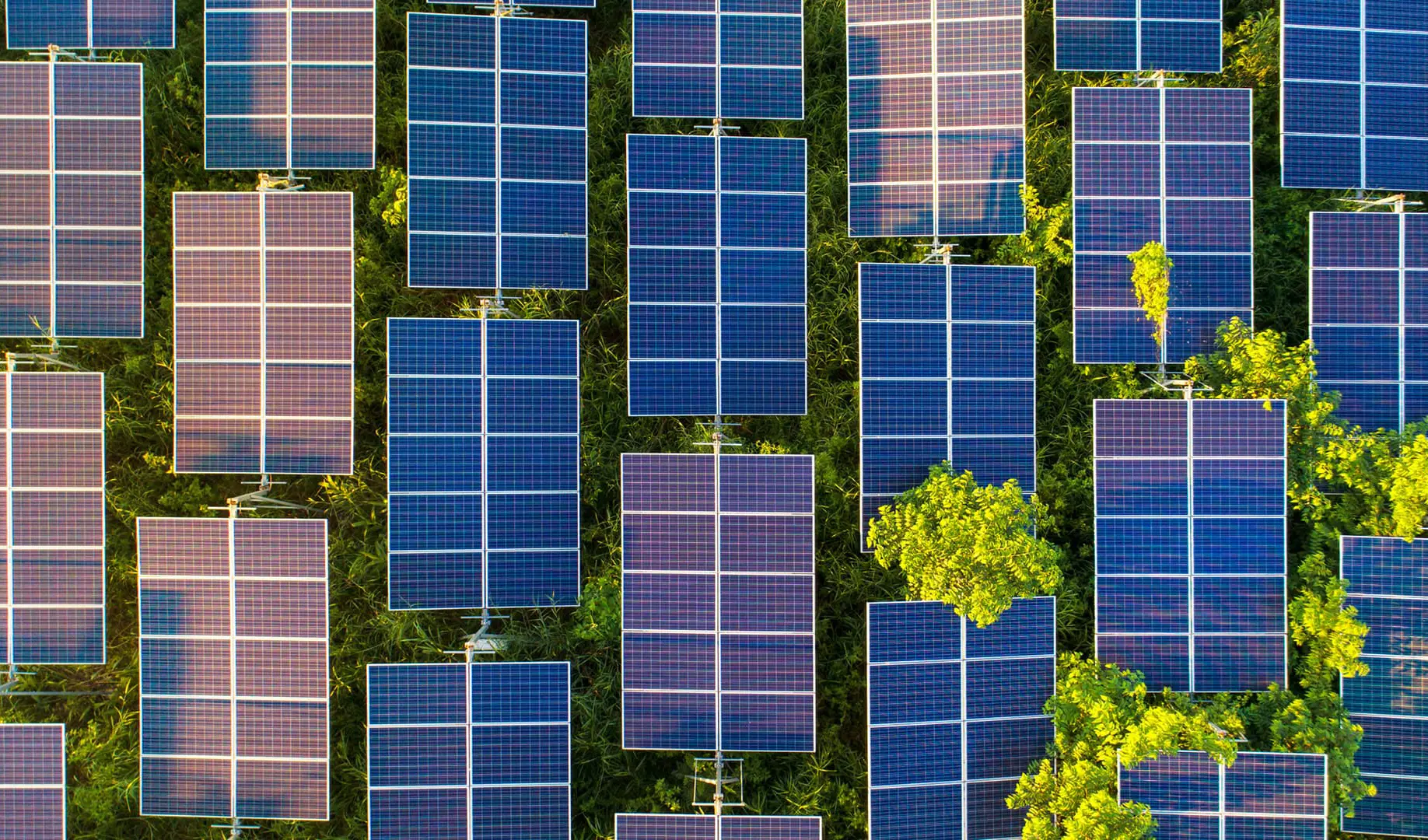 Energy And Renewables 1 Adobestock 173426561